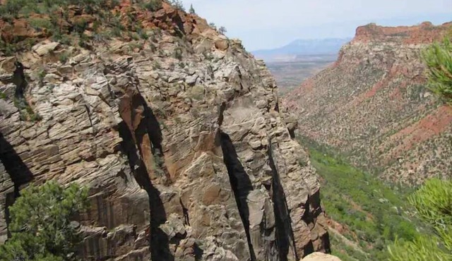 "Ranch Cabin" by Zion, Bryce & Grand Canyon