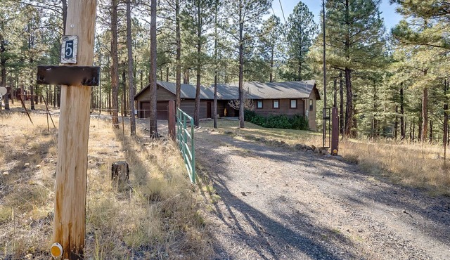 Retro Grandma Mountain Family Retreat~Summit Pines