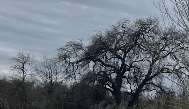 River country home- near Kingsburg