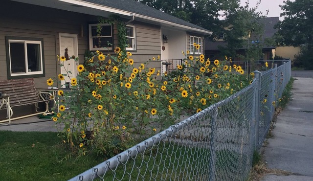 Rose Park House - Wonderful location close to U of M and Downtown