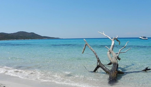 Saint florent/haute corse