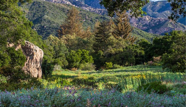 Santa Barbara Botanical Cabin