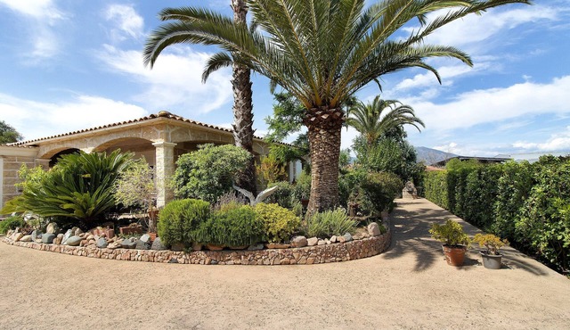 Sea and Canopy Rooms: Mountain View, Shared Terrace and Garden