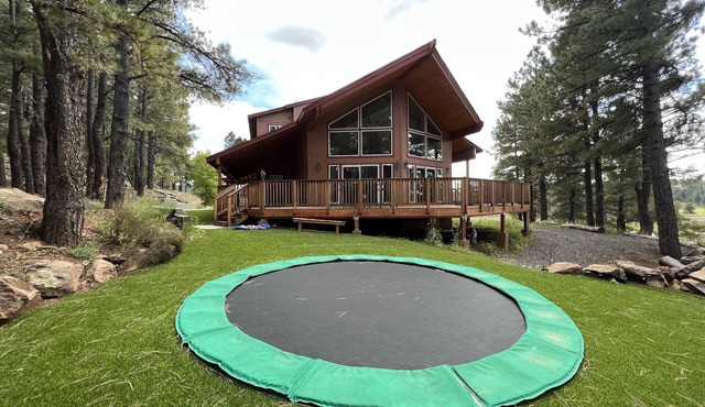 Secluded Mountain Home in the Pines