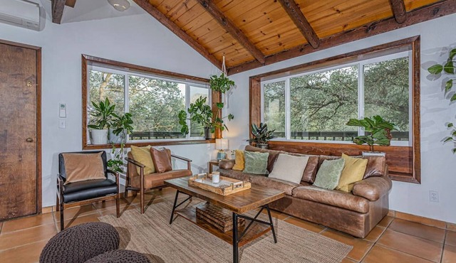 Sequoia “Tree house” Light & Bright