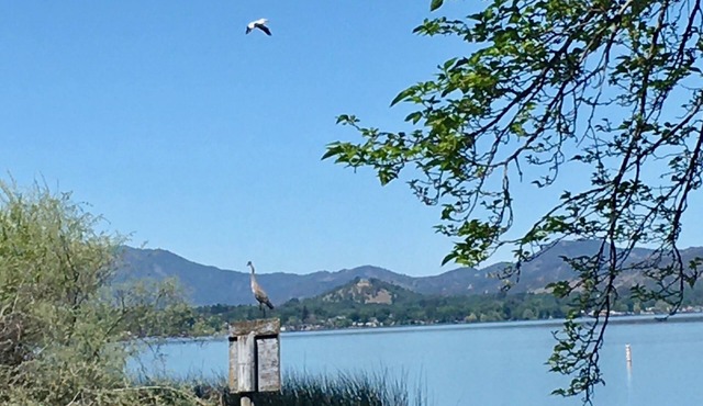 Serene lake house in Lands End