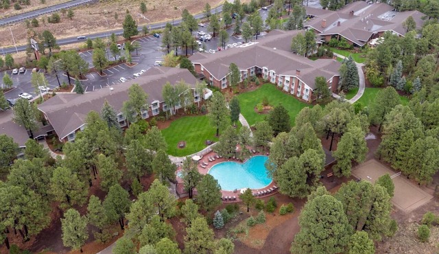 Serenity Amongst Ponderosa Pines at Little America Hotel, Outdoor Pool