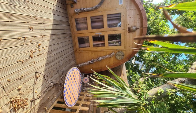 shitty hut