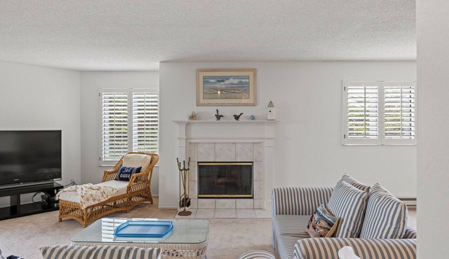 Shorebirds 158 - Sleeps 8