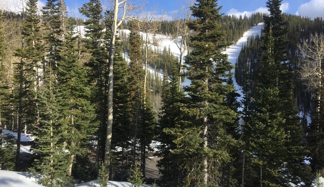 Ski-In/ski-Out At Eagle Point Ski Resort - Snowflake #12 - 1 Bedroom Condo