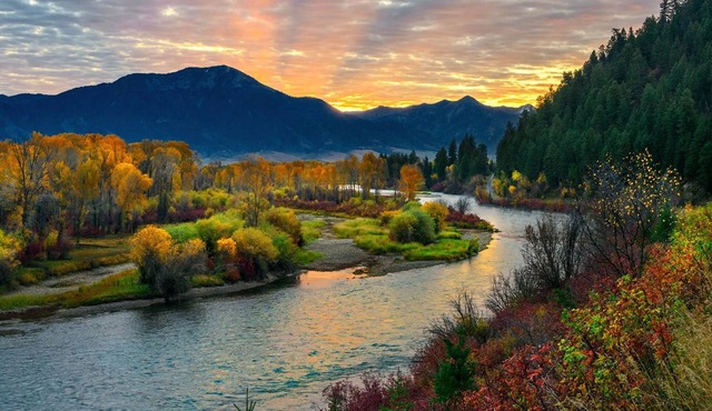 Snake River Roadhouse #3 Cutty's