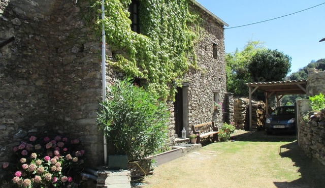 Sole e Ventu 50qm by Interhome