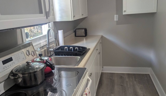 Spacious Apt Near Downtown & WKU