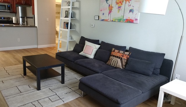 Spacious furnished home office condo in Little Italy - Free Secure Parking