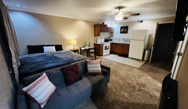 Spacious & Modern studio in the Heart of Roseville