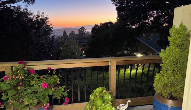 Sparkling 3 room apt, S.F. Bay Views on most exclusive str. N. Berkeley Hills