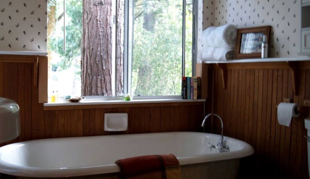 Spectacular Riverside Getaway Cabin with Claw Foot Bathtub in Castella, California