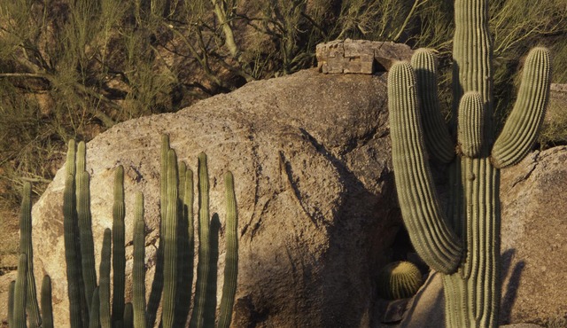 Spend Your Carefree Holiday at the Luxurious Carefree Casita