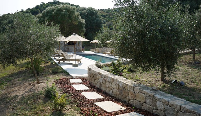 Stone house in an olive grove 15 minutes from the beach
