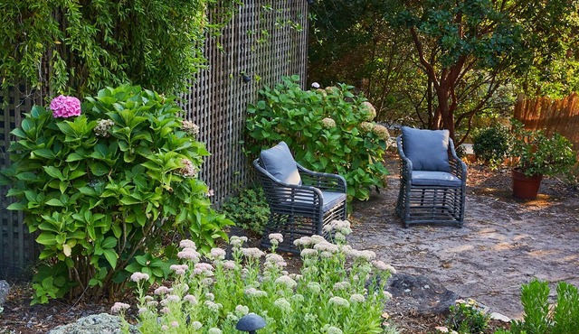 Studio cottage retreat in a vineyard setting