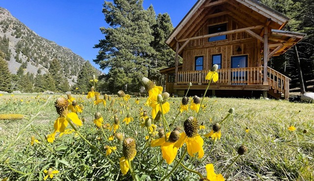 Swiftcurrent Cabin-Cozy Cabin with a Hot Tub on the River next to the Wilderness