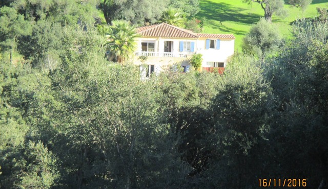 t1 in Porticcio in a green setting