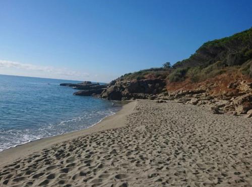 T2 paradisiaque en bord de mer et piscine