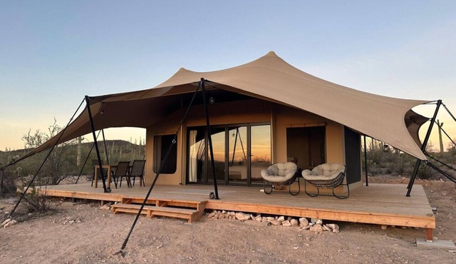 Tent Cholla, occupancy near Saguaro NP