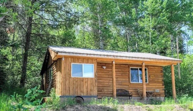 Teton Homestead: Renovated Historic Cabin + Views