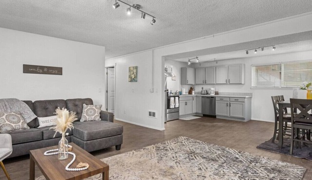 The Bunker | Garden-Level Retreat Pet Friendly Fenced Yard Fireplace Near Downtown & BSU
