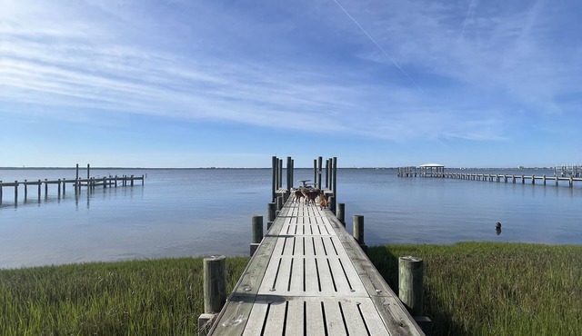 “The Cottage" Waterfront Access to Bouge Sound!