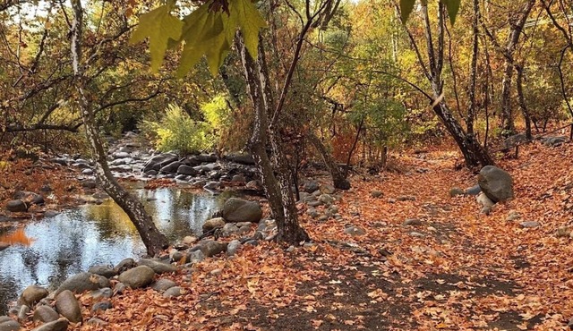 The Fairy Stream 's House