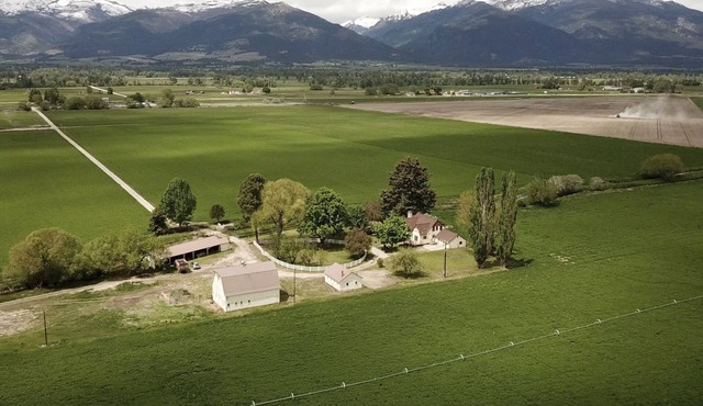 The Old Farmstead