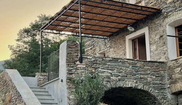 The old house