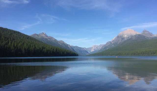 The Reclusive Moose Cabins