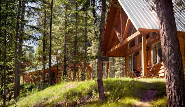 The Ridge At Glacier/Alpine Cabin #5
