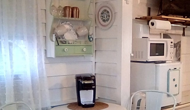 Tiny one room cabin