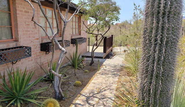 Tranquil Desert Retreat