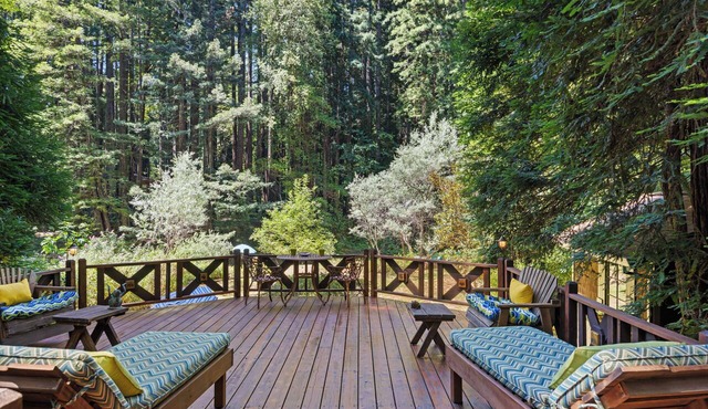 Tranquil Retreat on Austin Creek, Surrounded by Forest Views