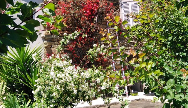 typical Corsican village house in the heart of Nebbio