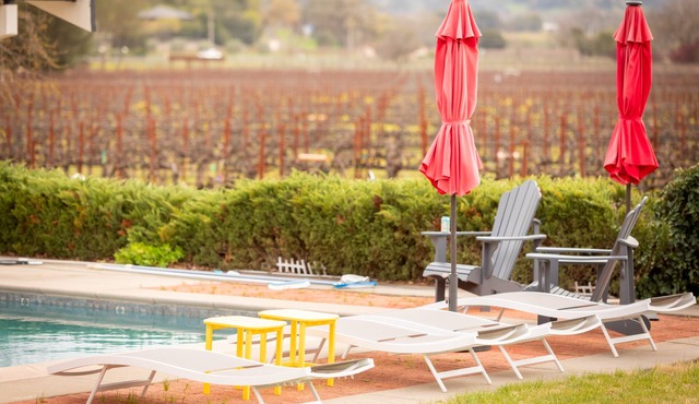 Views Galore! Wine Country Retreat - minutes from foodie paradise Yountville