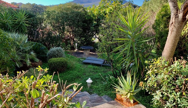Villa Flamingo close to the beach