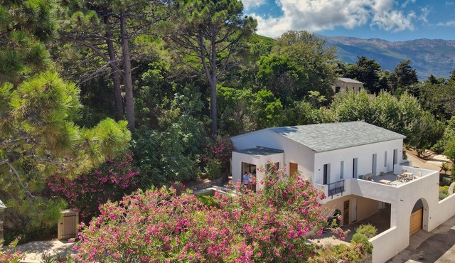 VILLA MINERBIO E CASE DI MISINCU