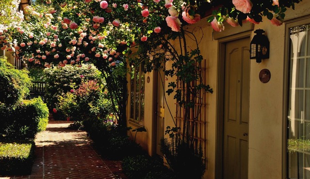 Vineyard Country Inn