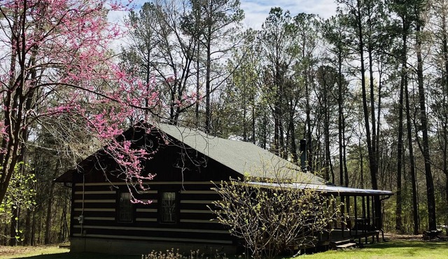 Well maintained cabin bordering national forest, close to Augusta, GA - -Masters