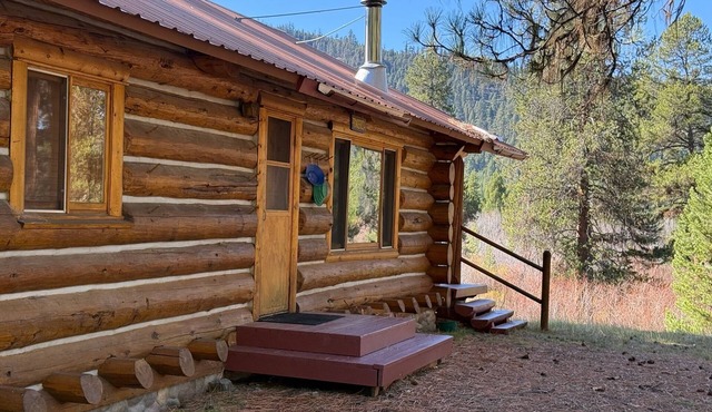 Wilderness, wildlife, and fishing cabin