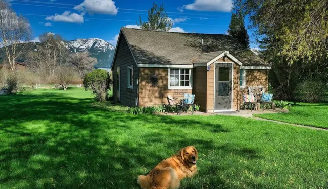Wrangler 2 bedroom cozy cabin with hammock