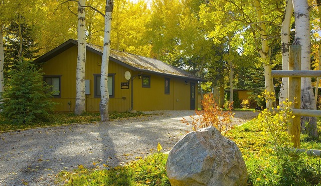 Yellowstone Aspen Cabin - NEW LISTING! Nestled in mature aspen and pine trees.