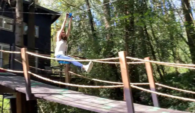 Yeti's Tree House: Where Dreams Come True