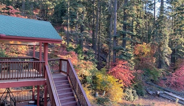 YoBee! Heart of Yosemite. Cozy View Studio. Reservations + Free Breakfast ~U3